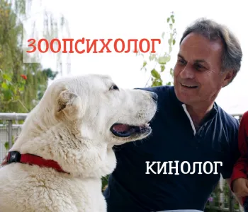 Имя контакта